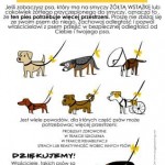 Nauka szczeniąt i szkolenia psów