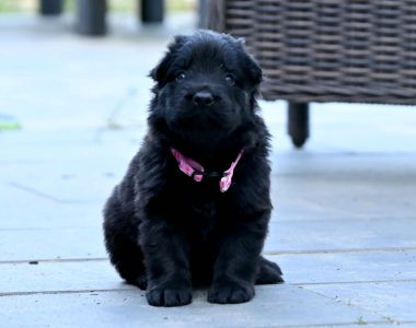 Miot MM – 3 tygodnie 