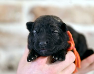 Miot NN – 1 tydzień