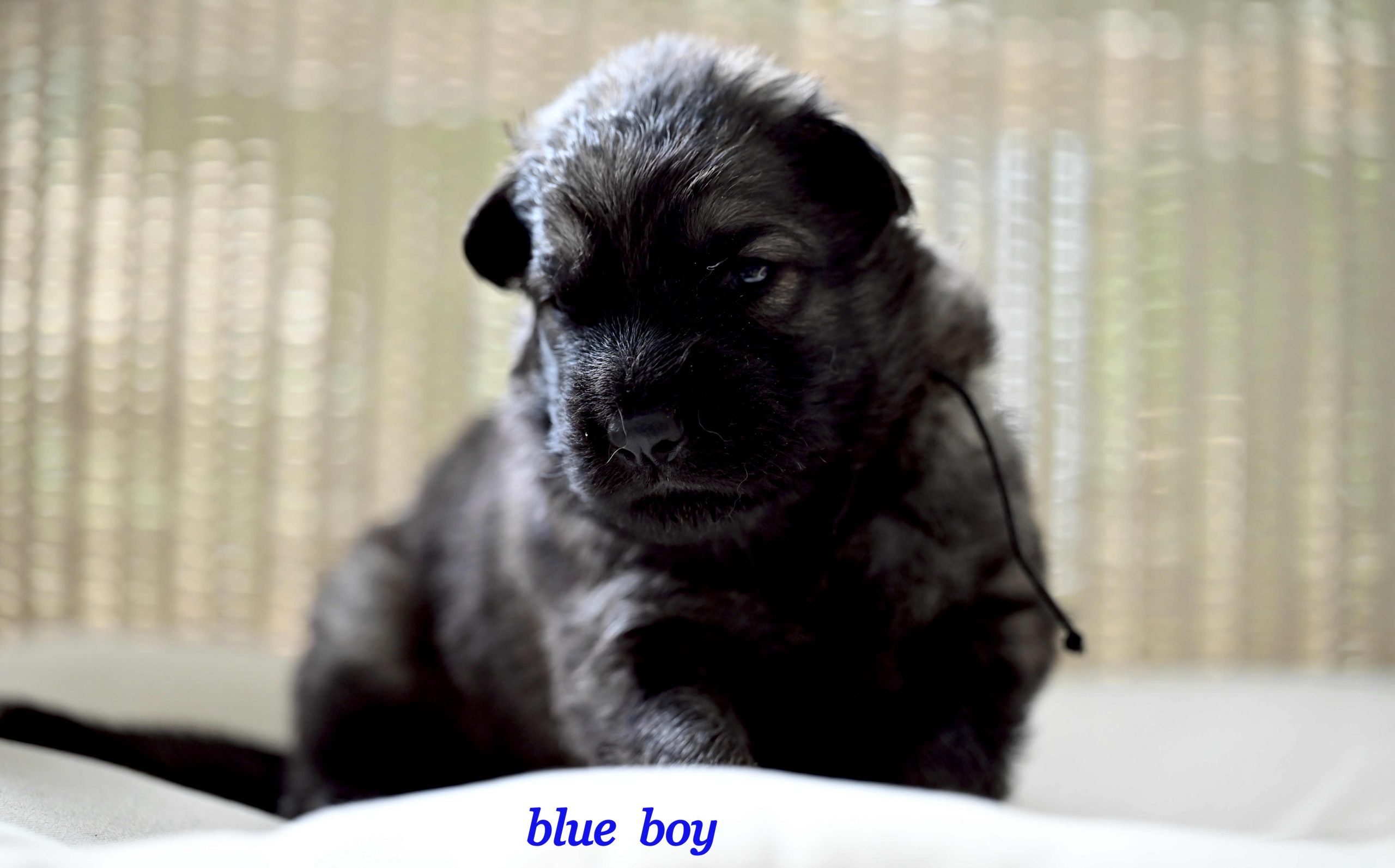 Miot_NN_2_tygodnie13