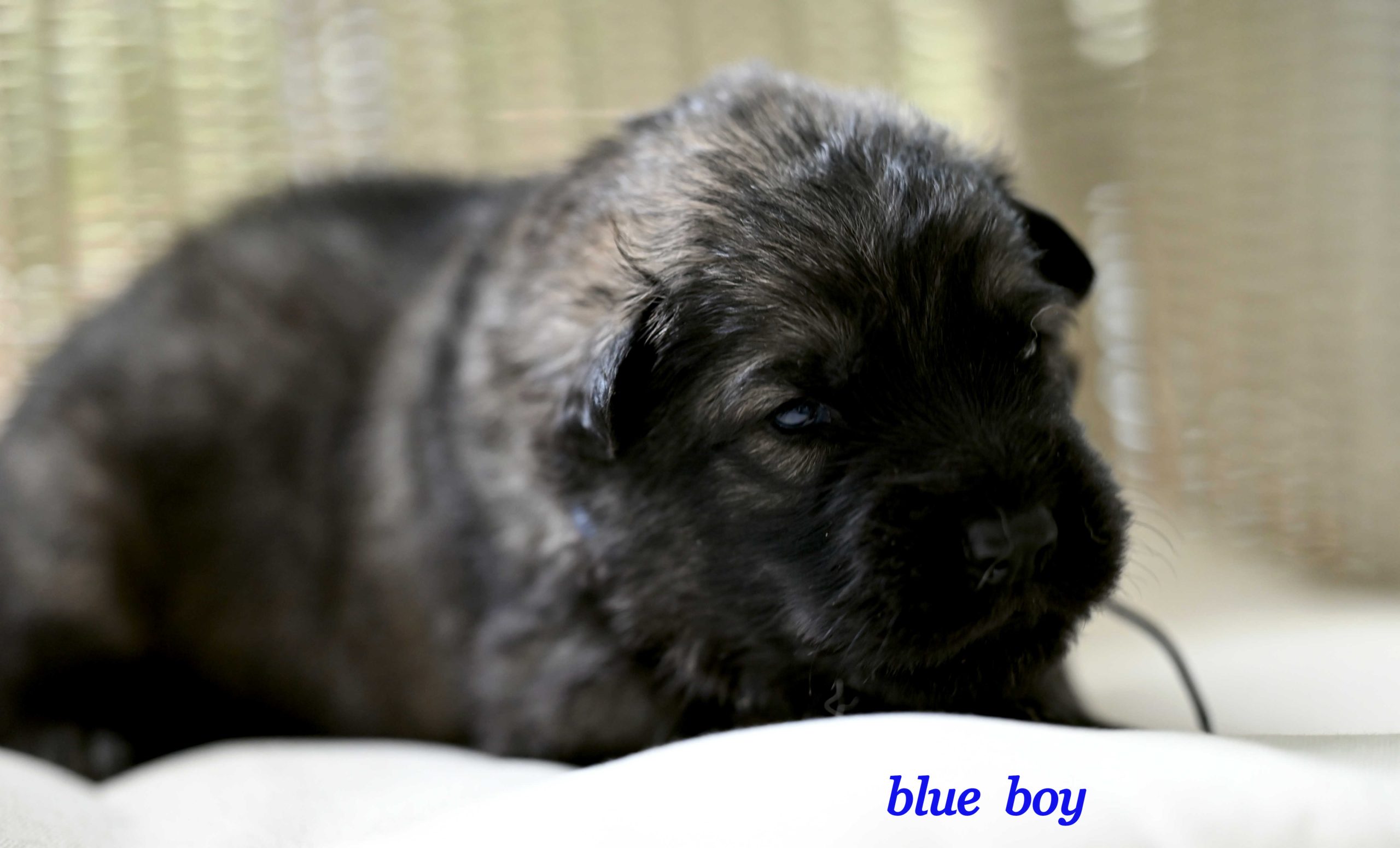 Miot_NN_2_tygodnie16