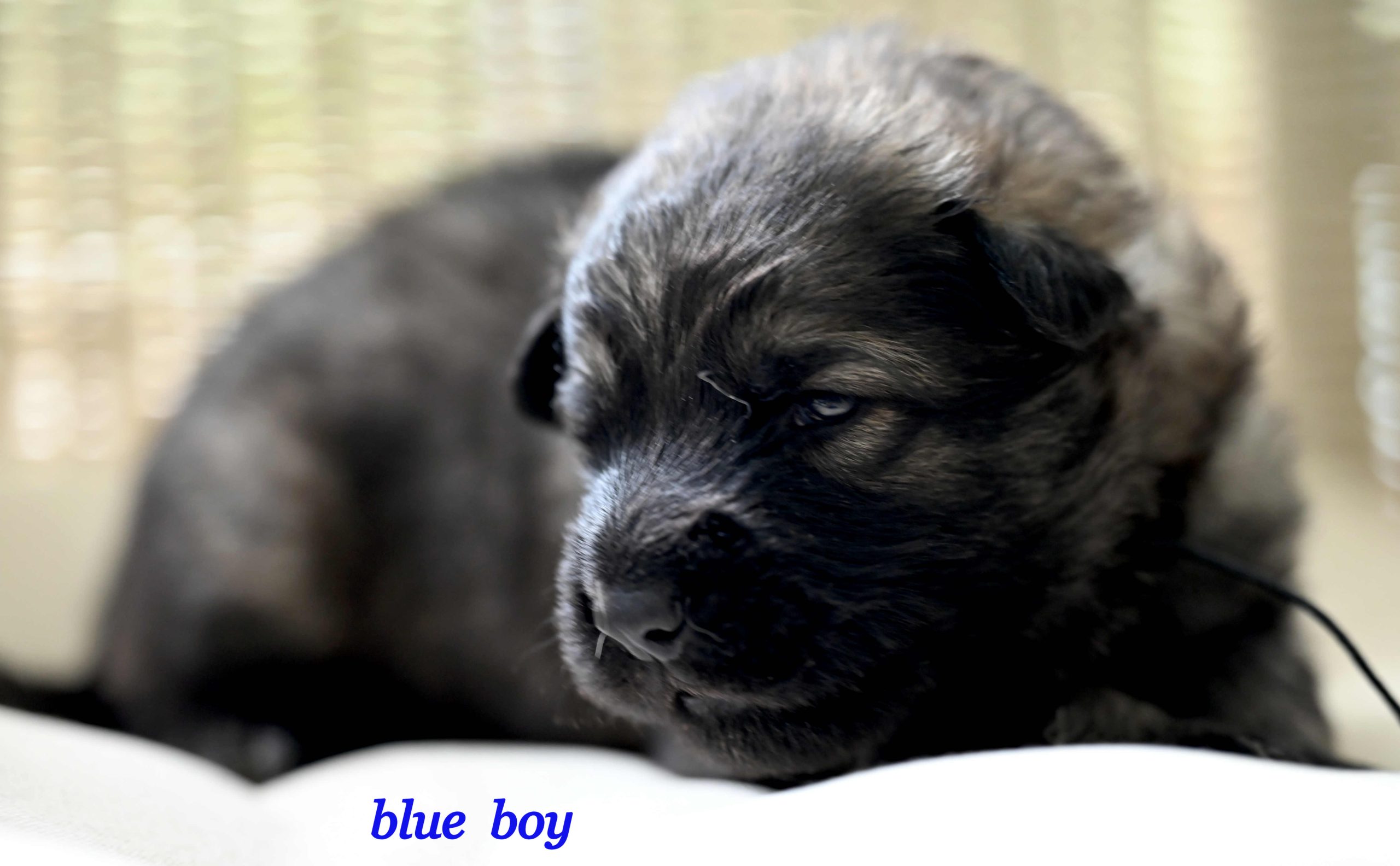 Miot_NN_2_tygodnie17