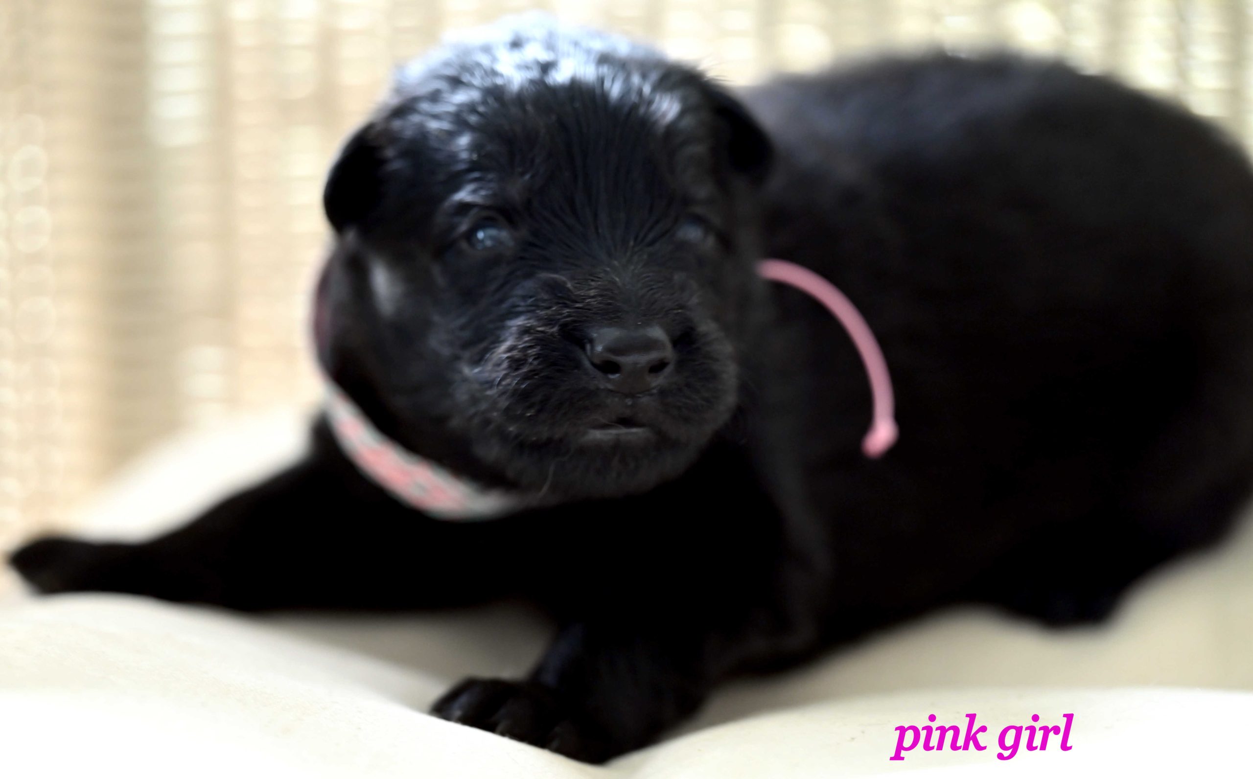 Miot_NN_2_tygodnie23