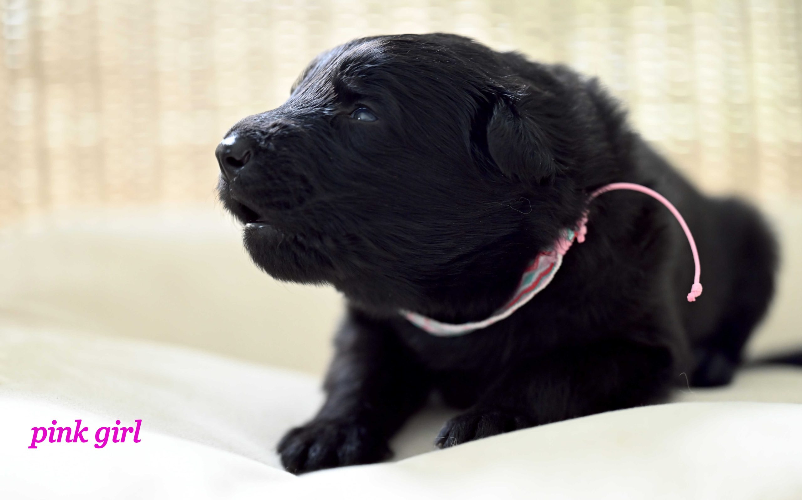 Miot_NN_2_tygodnie30