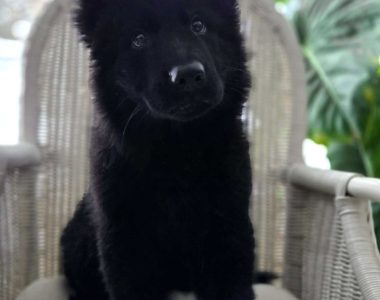 Miot NN – 9 tygodni