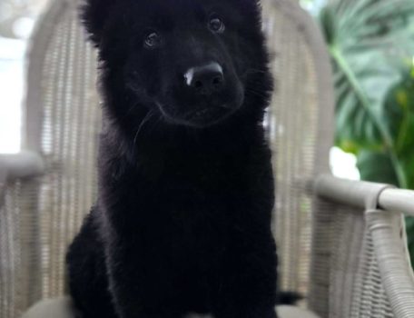 Miot NN – 9 tygodni