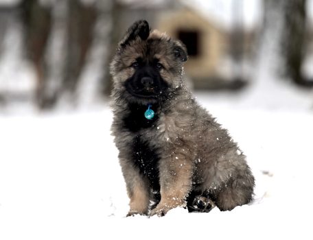 Miot NN – 8 tygodni